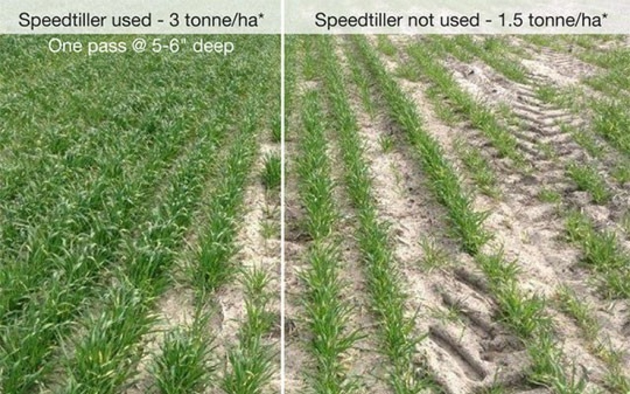 KLine Disc KLine Speed Tiller Flaman Agriculture