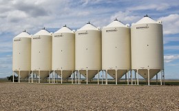 Smoothwall Bins
