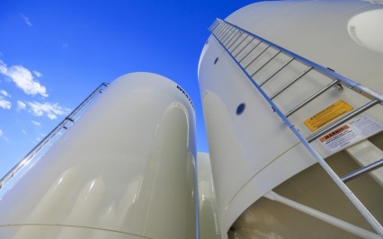 Side Wall and Roof Ladder