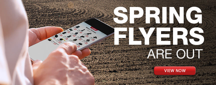 Sping Flyers